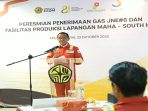 Peresmian Lapangan Jangkrik